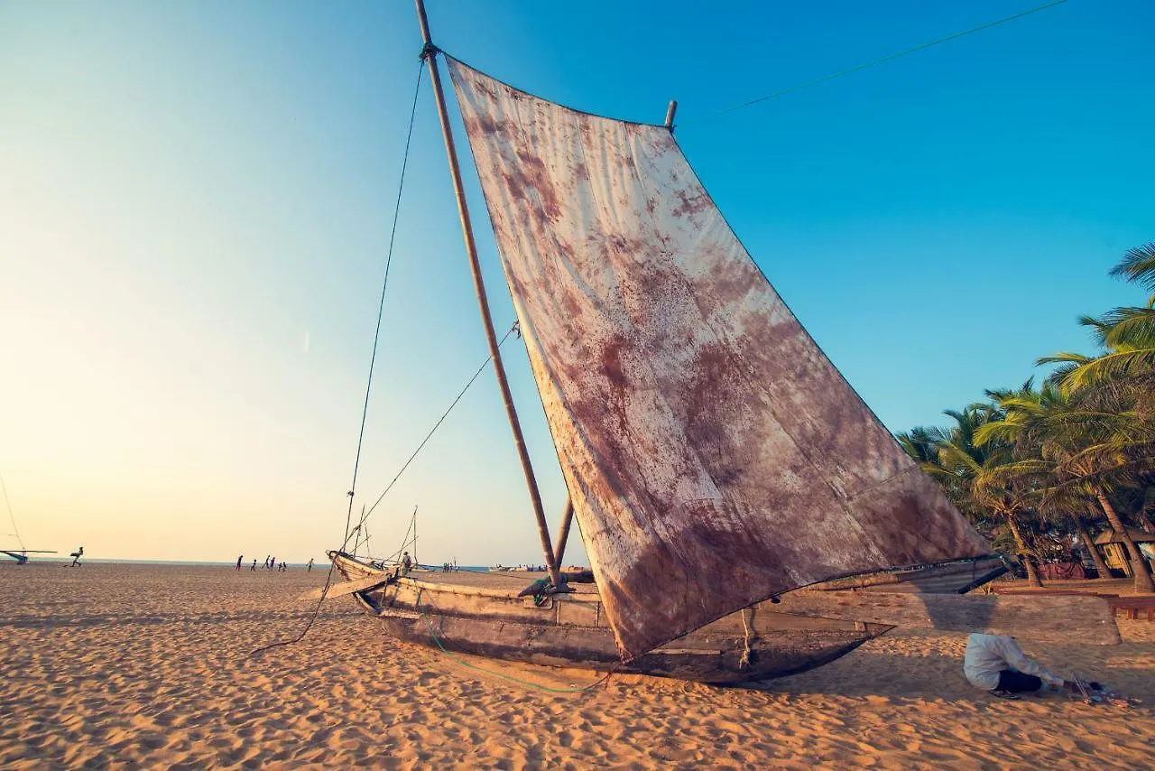 Beach Corridor Hotel & Spa With Free Airport Shuttle Negombo